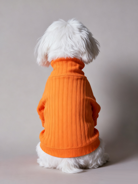 Orange Ribbed Turtleneck Dog Jumpsuit