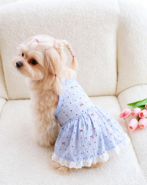 Light Blue Pet Dog Dress with Red Polka Dots