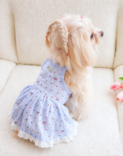 Light Blue Pet Dog Dress with Red Polka Dots