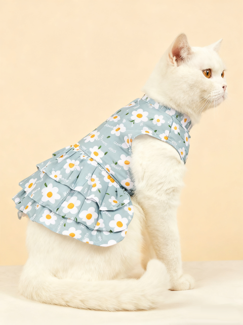 Daisy Print Cat Dress in Light Blue