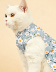 Daisy Print Cat Dress in Light Blue