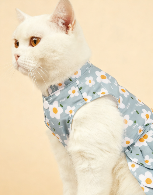 Daisy Print Cat Dress in Light Blue