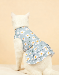 Daisy Print Cat Dress in Light Blue