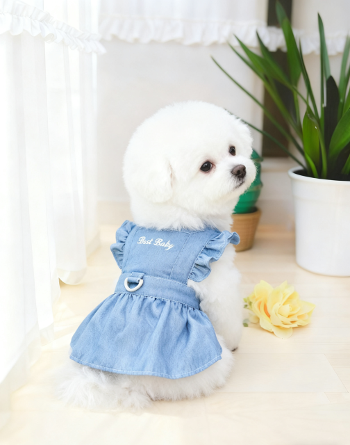 Denim Dog Dress with Ruffled Sleeves and "Best Baby" Embroidery