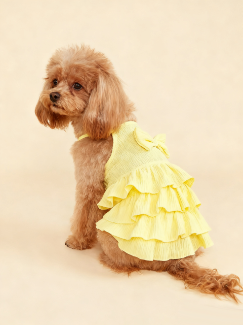 Yellow Tiered Ruffle Dog Dress