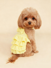 Yellow Tiered Ruffle Dog Dress