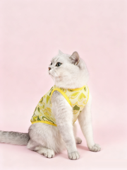 Retro Heart Print Sheer Mesh Cat Vest