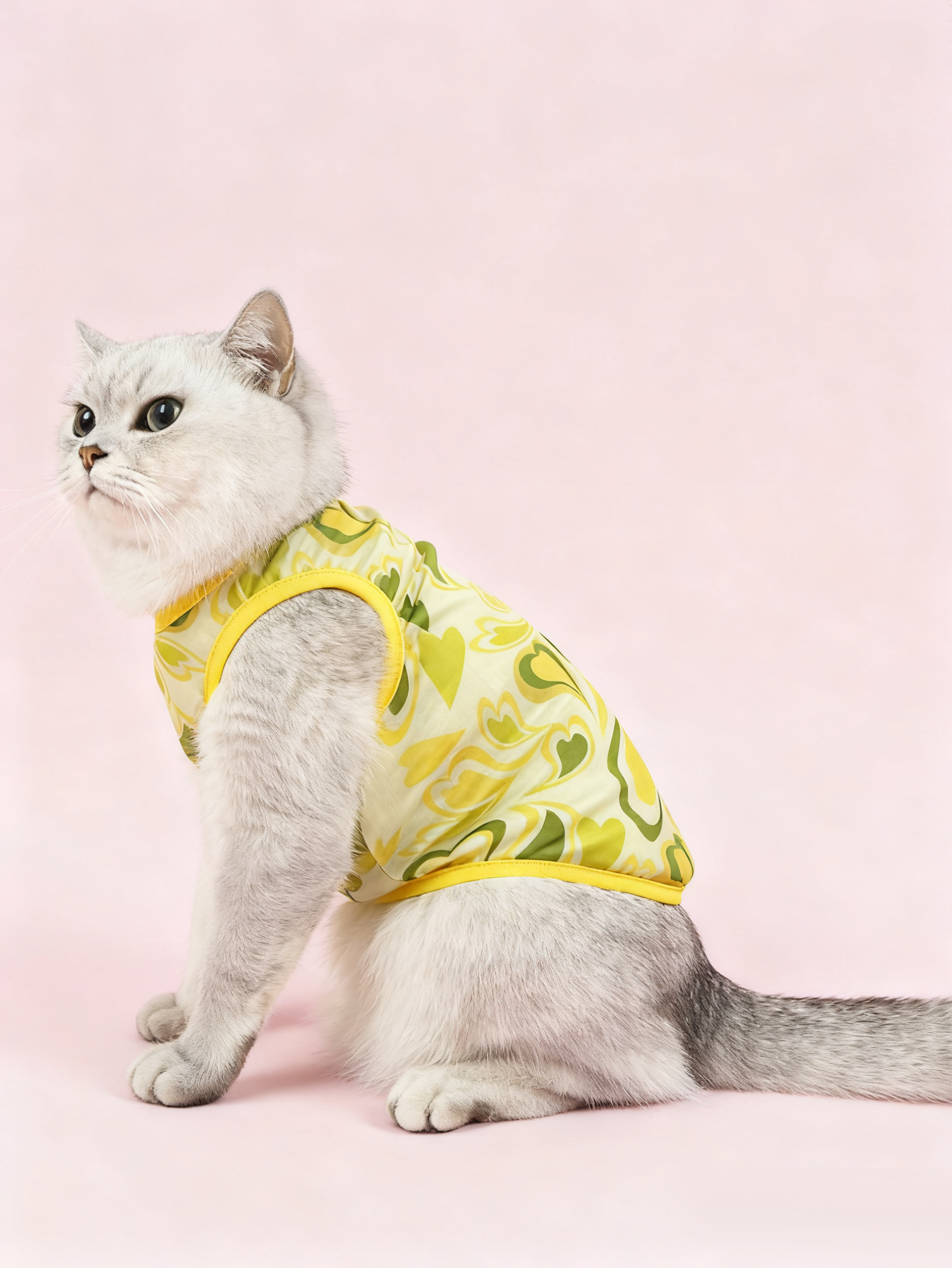 Retro Heart Print Sheer Mesh Cat Vest