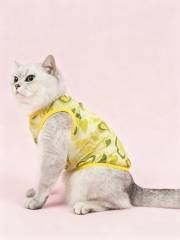 Retro Heart Print Sheer Mesh Cat Vest
