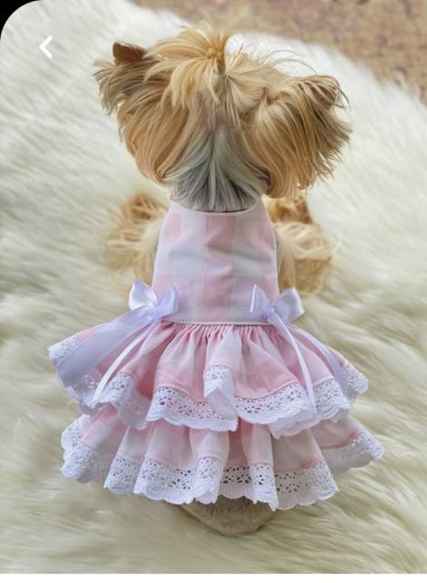 Breathable Double Layer summer Dog Dress Pet Clothes