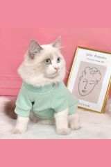 Custom Cat T-Shirt – Mint Green Hooded Plush Top