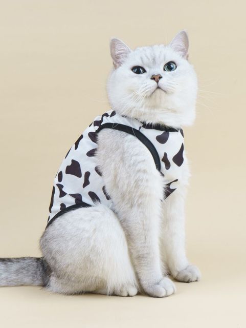 Cow Print Mesh Cat Vest