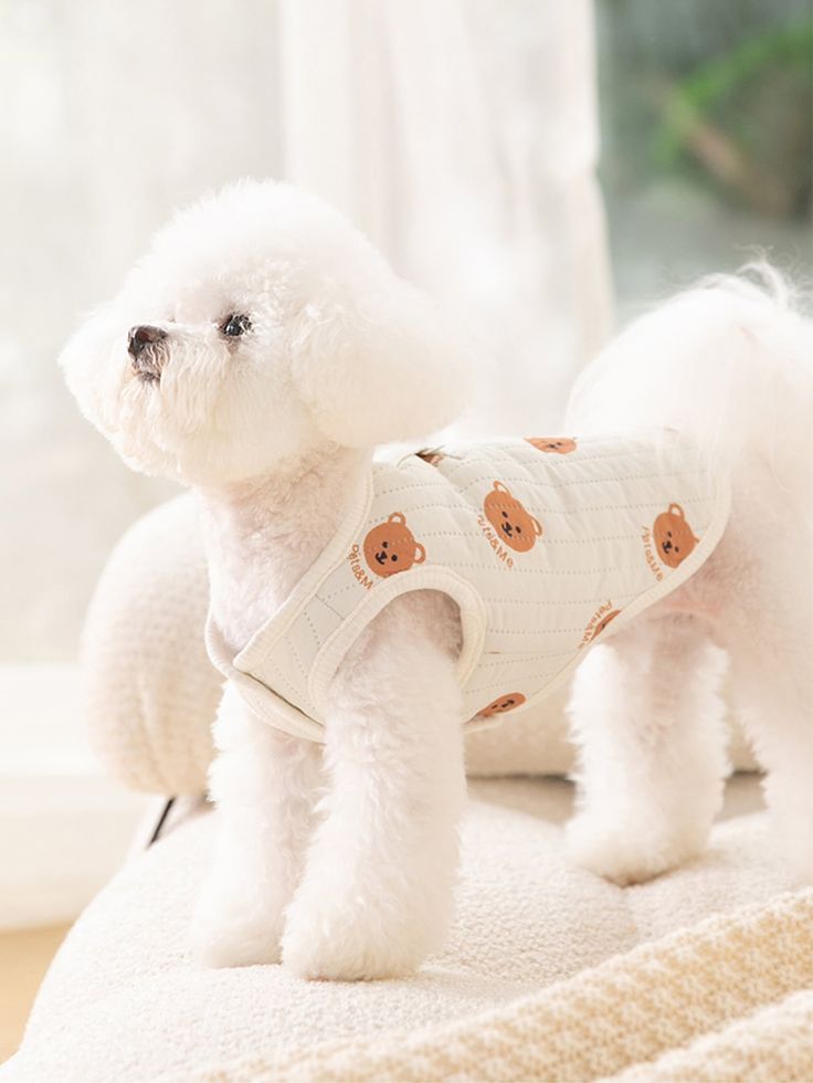 Cute Teddy Bear Print Dog Harness Vest 