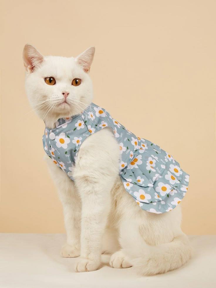 Daisy Print Cat Dress in Light Blue