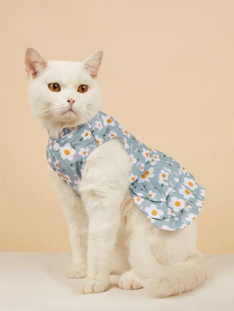 Daisy Print Cat Dress in Light Blue