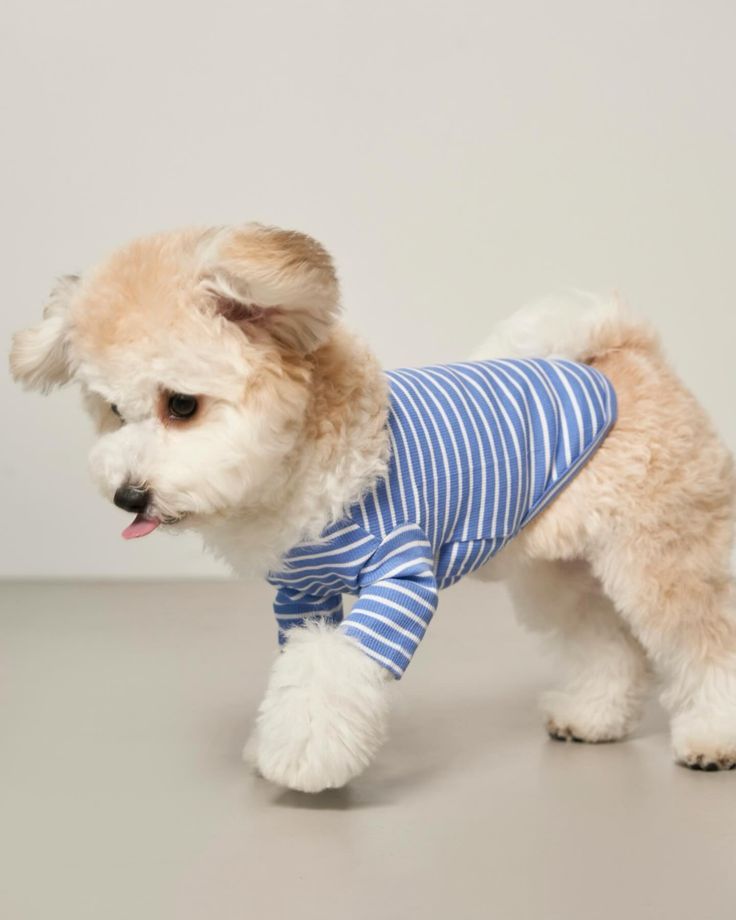 Dog Striped T-Shirt Cotton Breathable