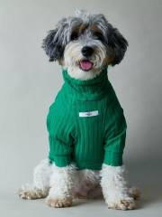 Green Ribbed Turtleneck Dog Sweater