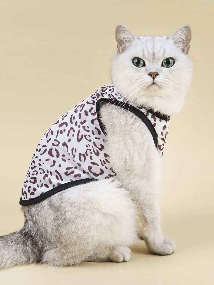 Leopard Print Mesh Cat Vest