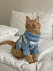 Light Blue Cloud  Turtleneck Cat Sweater