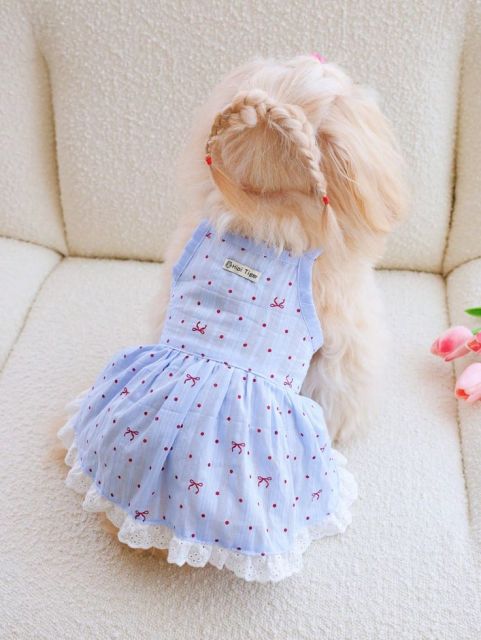 Light Blue Pet Dog Dress with Red Polka Dots