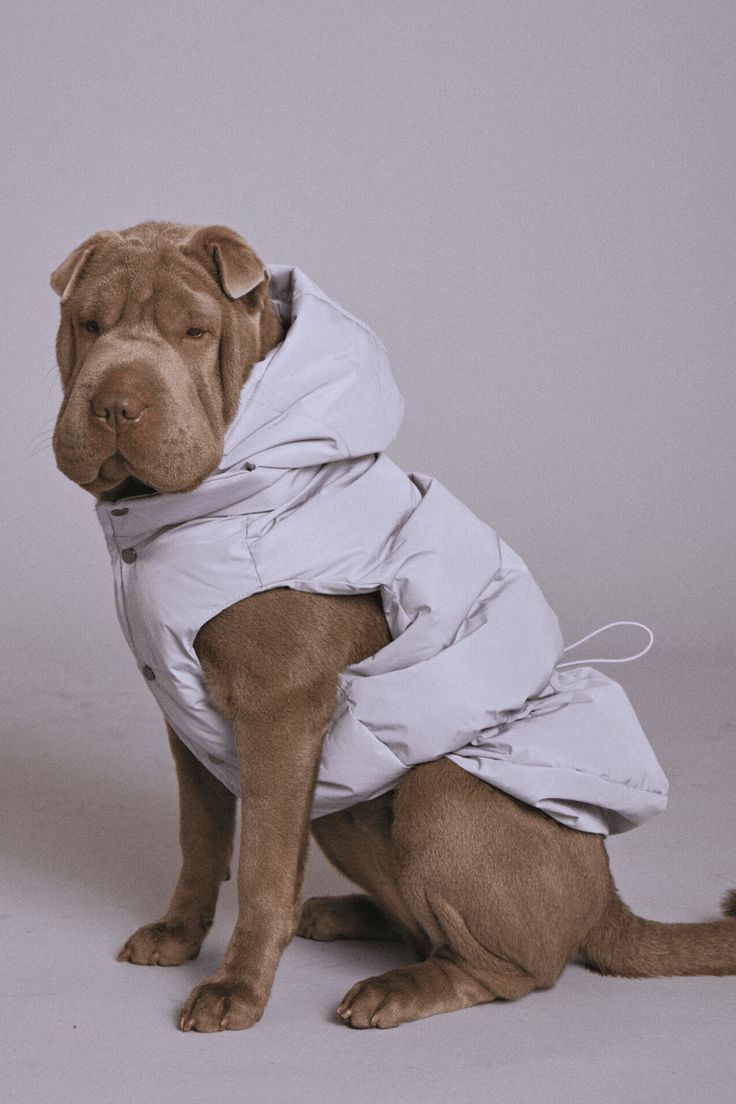 Light Gray Hooded Dog Puffer Vest