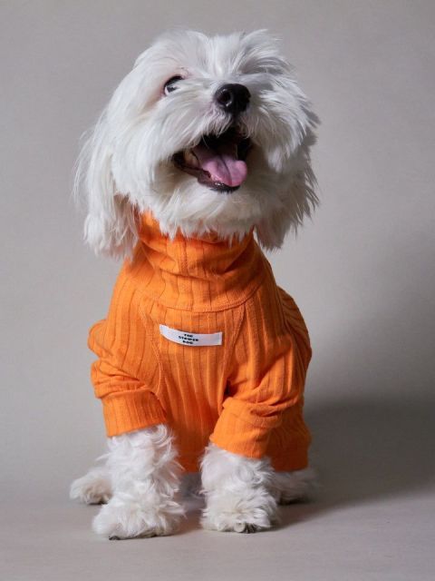 Orange Ribbed Turtleneck Dog Jumpsuit