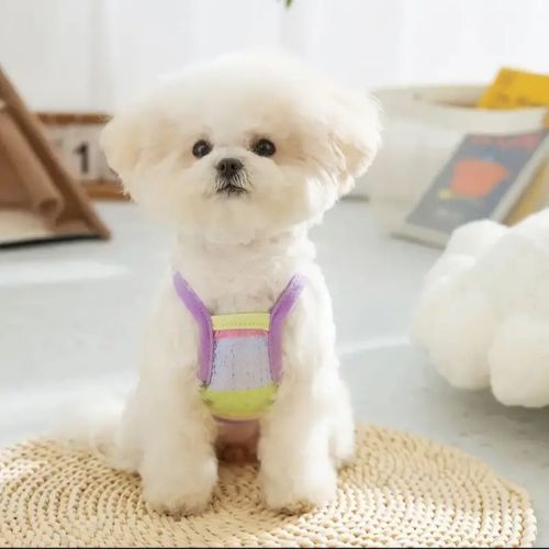Pastel rainbow dog harness vest