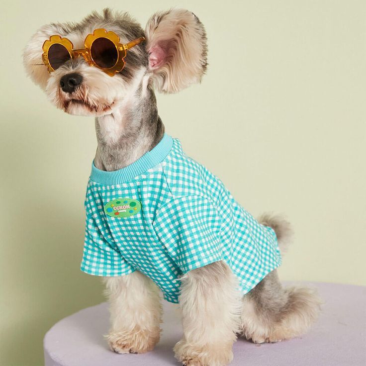 Plaid Pet tshirt Summer Clothes