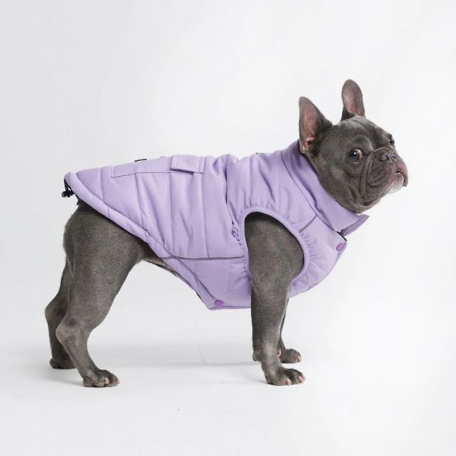 Purple Quilted Dog Vest with Functional Pockets