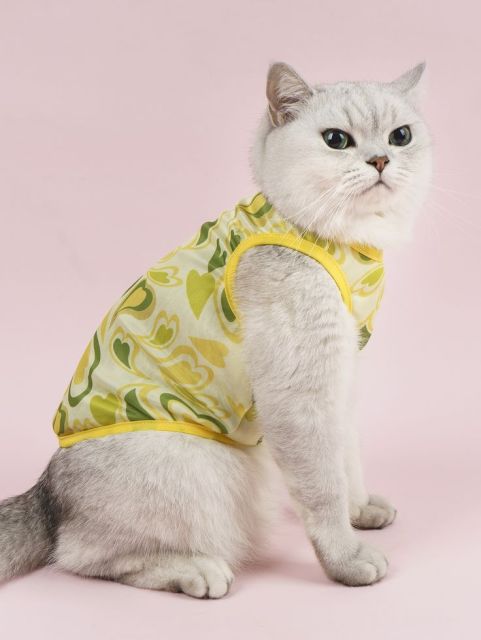 Retro Heart Print Sheer Mesh Cat Vest
