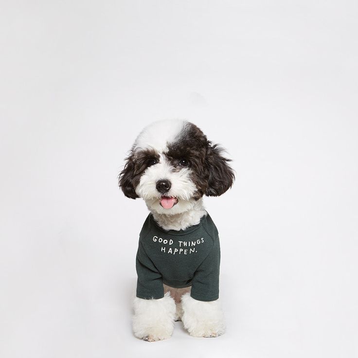 Soft Warm Pet Hoodie Dog Clothes