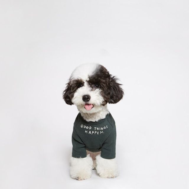 Soft Warm Pet Hoodie Dog Clothes