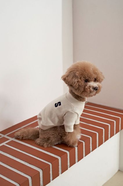 Summer Thin Pet T-shirt Dog Clothes