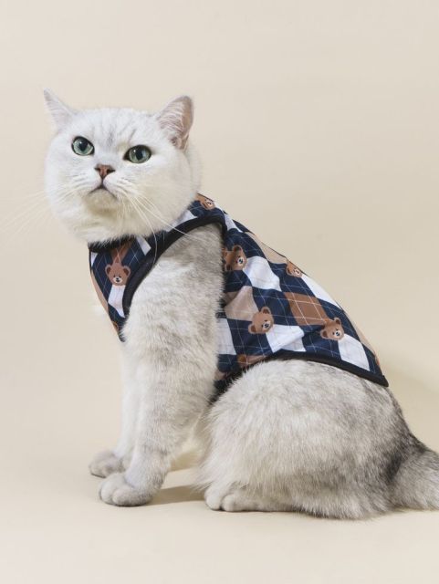 "Teddy Bear Argyle Plaid Cat Vest