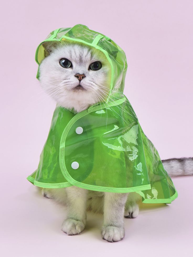 Transparent Green Cat Raincoat with Hood