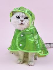 Transparent Green Cat Raincoat with Hood