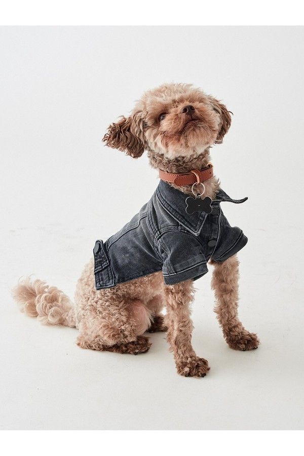 Vintage Washed Denim Dog Jacket