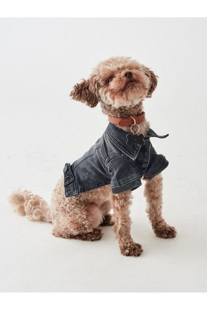 Vintage Washed Denim Dog Jacket