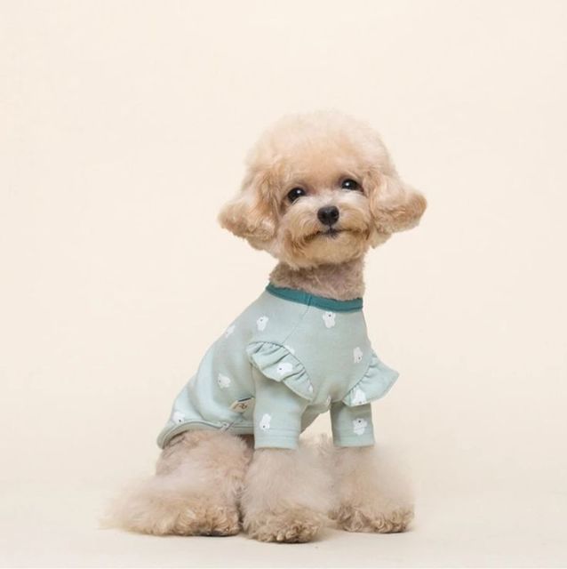 puff sleeves dog clothes