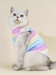 Rainbow vest for cat