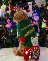 Green Llama Print Christmas Cat Sweater with Pom