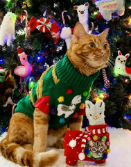 Green Llama Print Christmas Cat Sweater with Pom