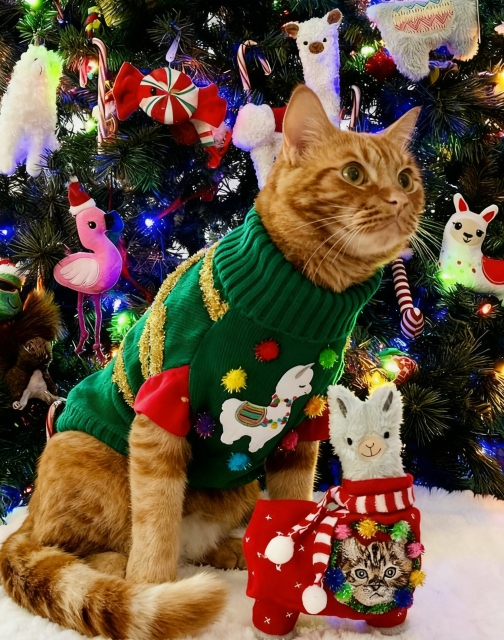 Green Llama Print Christmas Cat Sweater with Pom