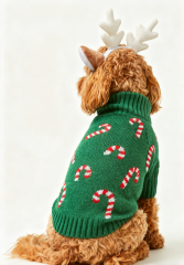 Green Candy Cane Print Dog Christmas Sweater