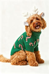 Green Candy Cane Print Dog Christmas Sweater