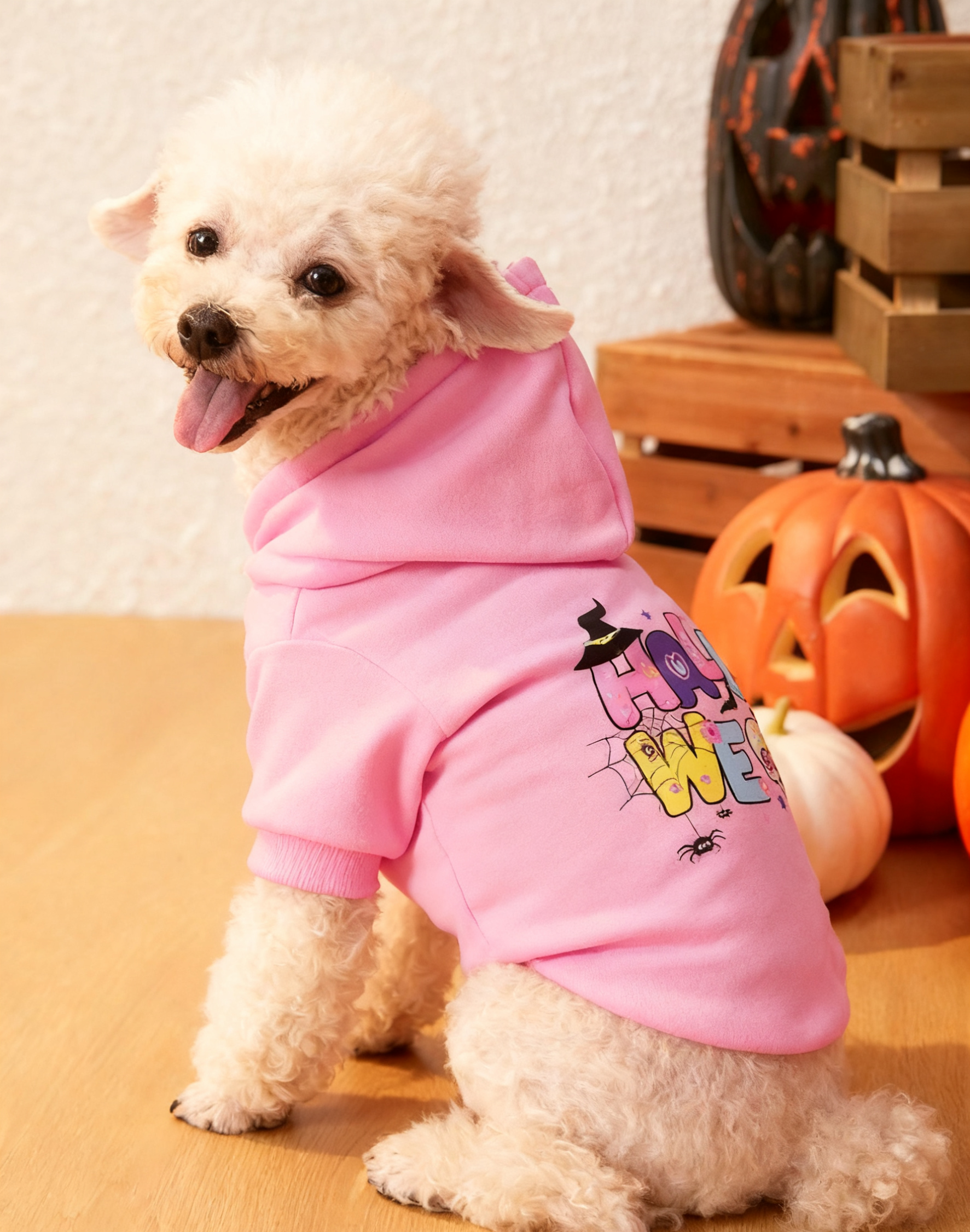 Pink Halloween Graphic Dog Hoodie