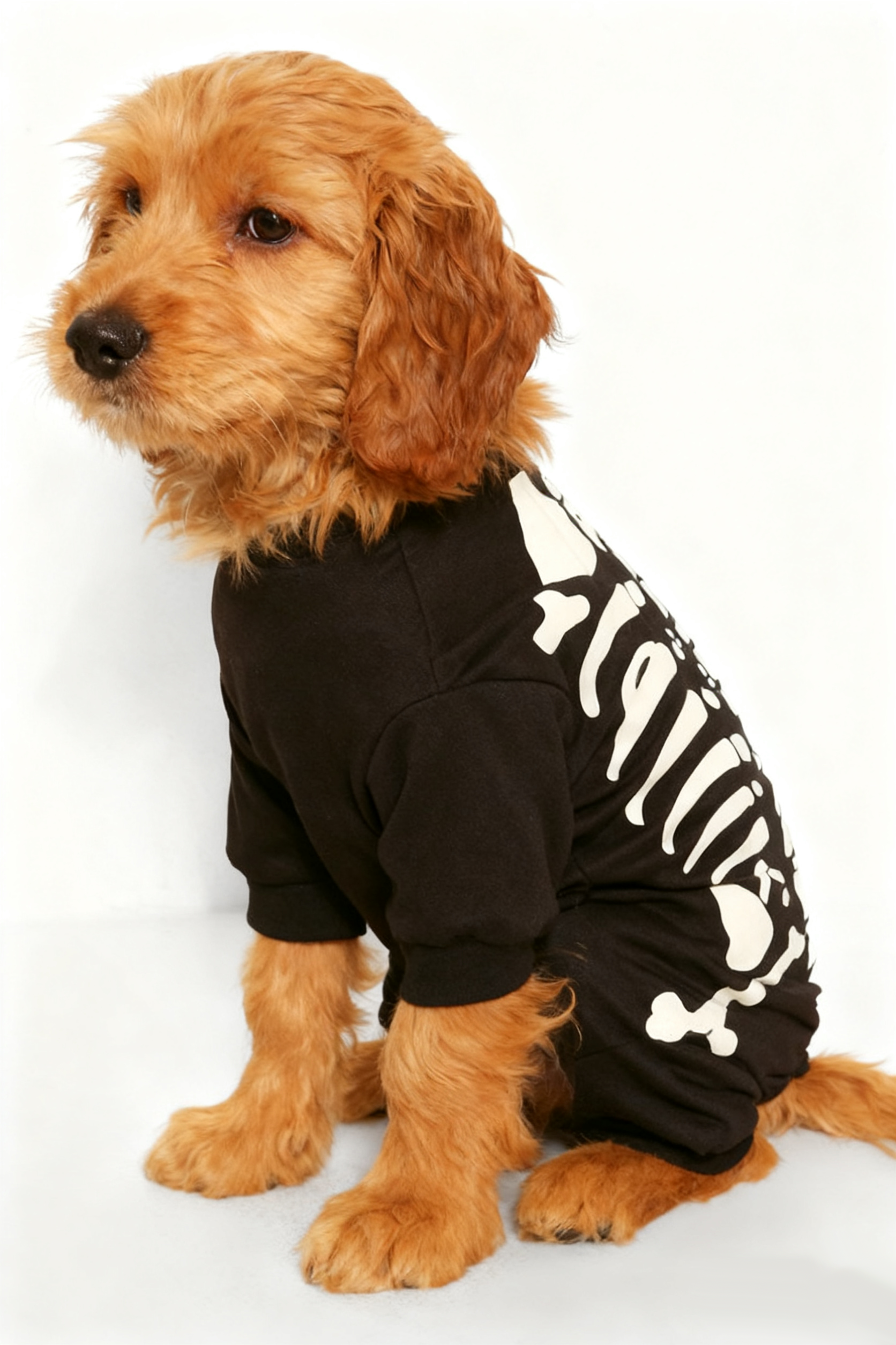 Halloween Black Skeleton Print Dog Onesie