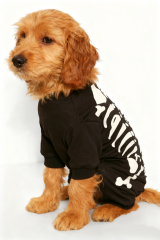 Halloween Black Skeleton Print Dog Onesie