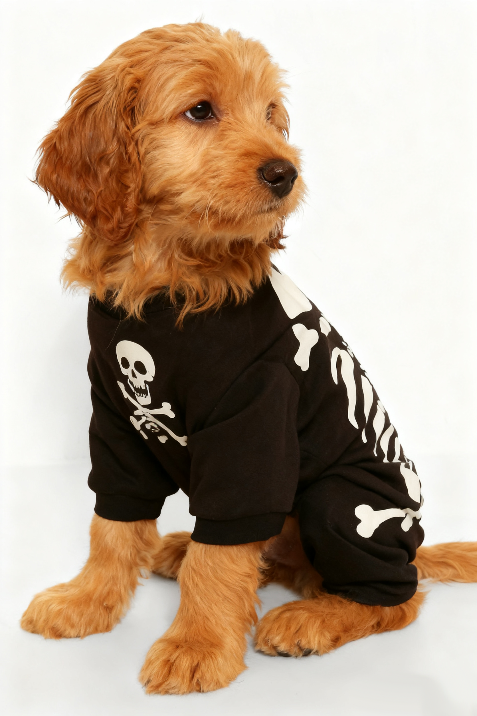 Halloween Black Skeleton Print Dog Onesie