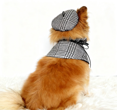 Black & White Plaid Dog Cape & Newsboy Hat Set